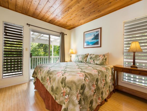 Hanalei Home 980493
