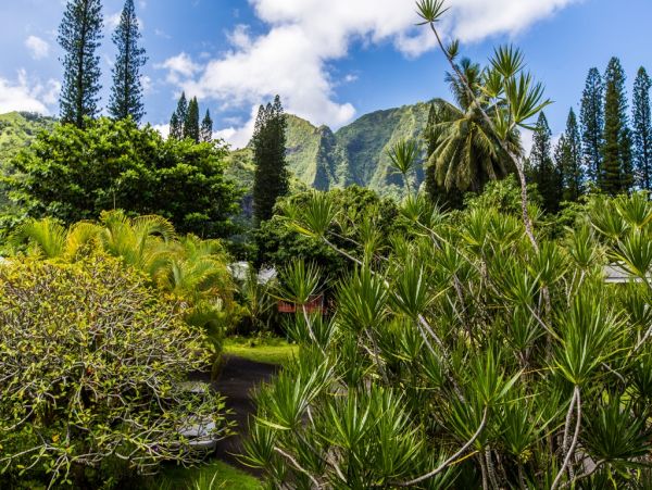 Hanalei Home 980493