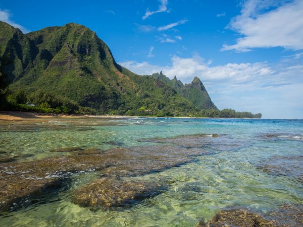 Hanalei Home 980493