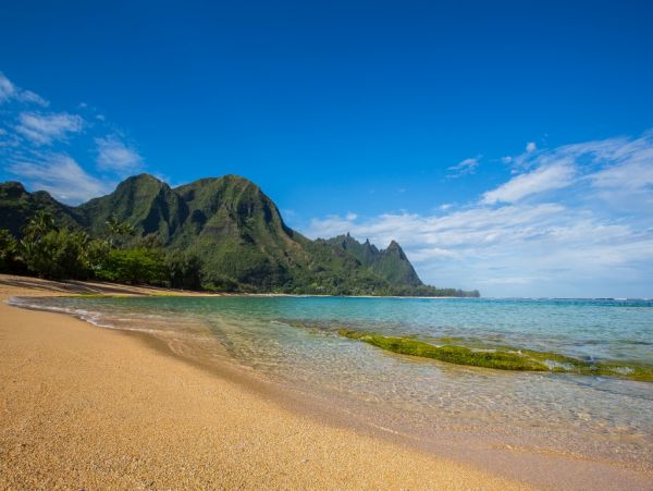 Hanalei Home 980493