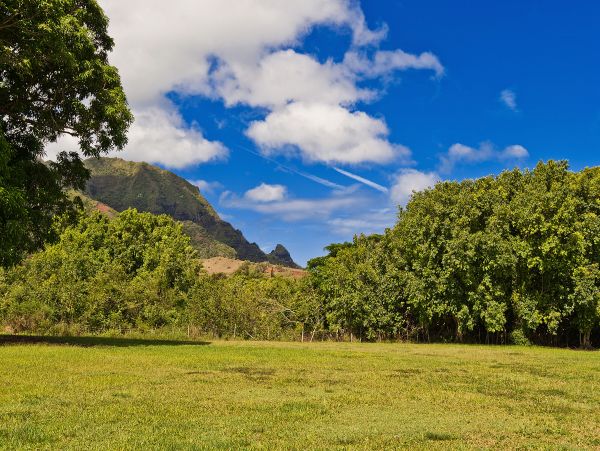 Hanalei Home 980494