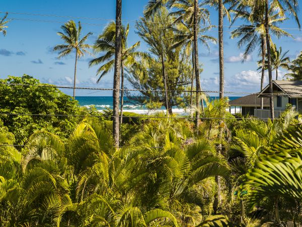 Hanalei Home 980495