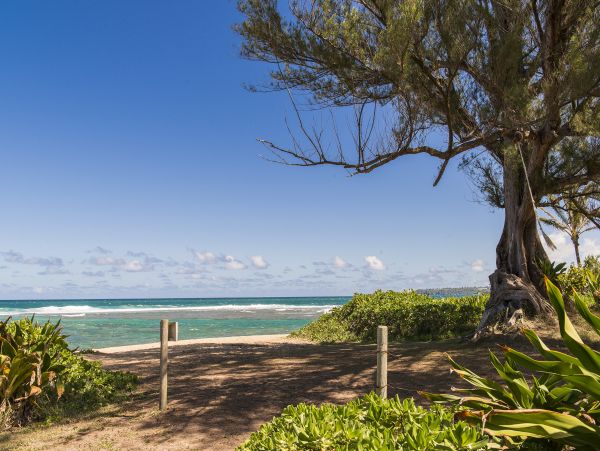 Hanalei Home 980495