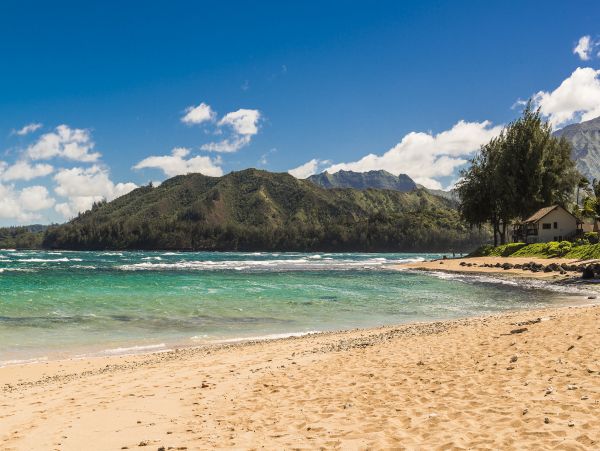 Hanalei Home 980495