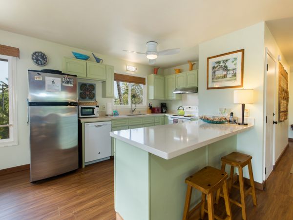 Hanalei Home 980496