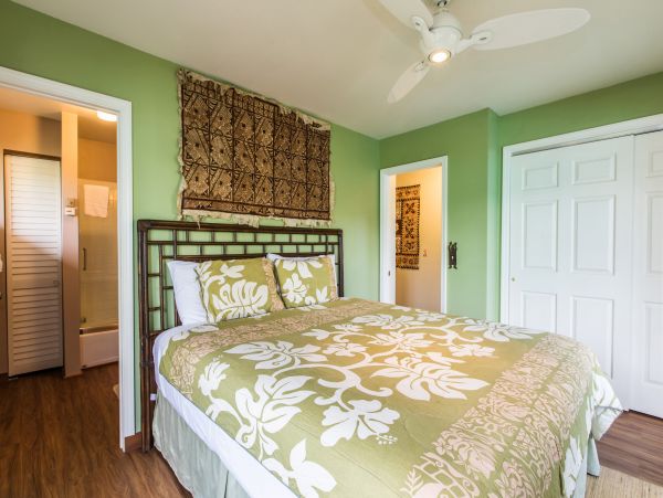 Hanalei Home 980496