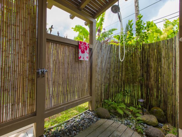 Hanalei Home 980496
