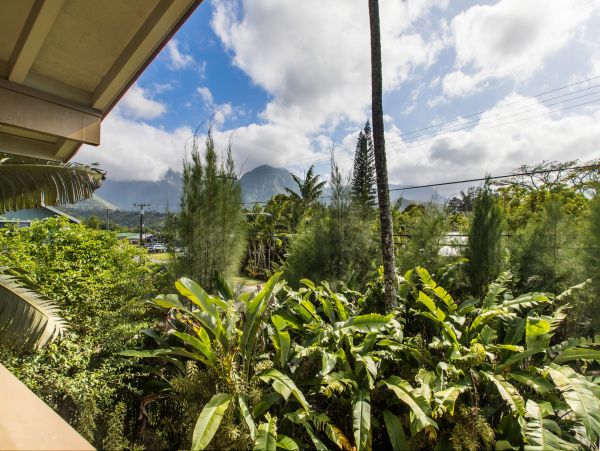 Hanalei Home 980496