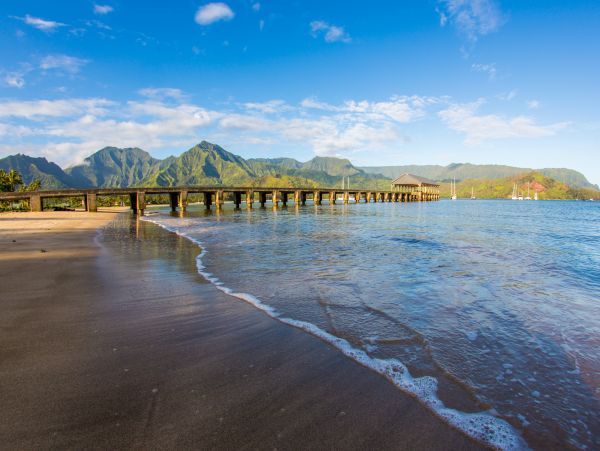 Hanalei Home 980496