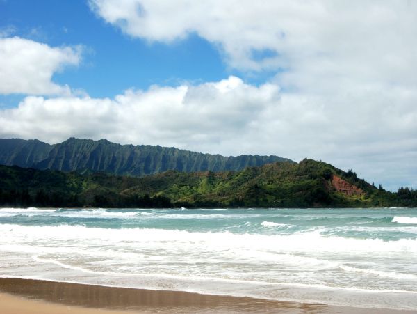 Hanalei Home 980497