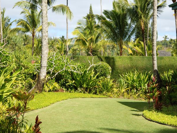 Hanalei Home 980498