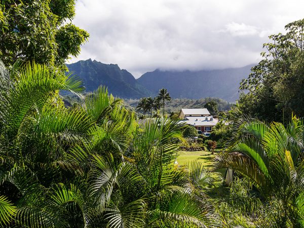 Hanalei Home 980501
