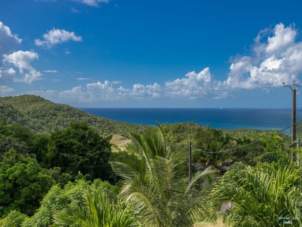 Martinique Home 980541