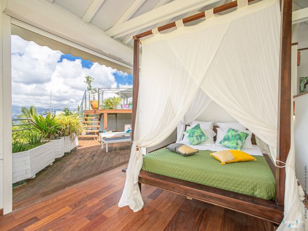 Martinique Home 980541
