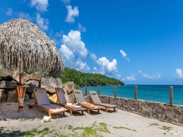 Martinique Home 980547