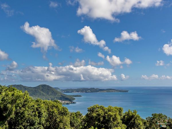 Martinique Home 980549