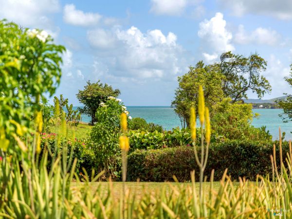 Martinique Home 980559