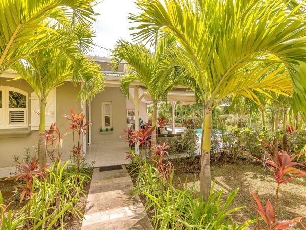 Martinique Home 980559