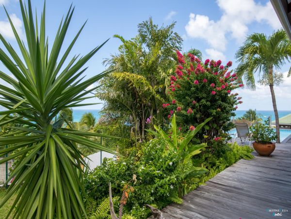 Martinique Home 980562