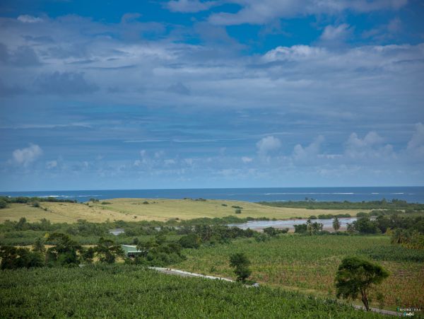Martinique Home 980565