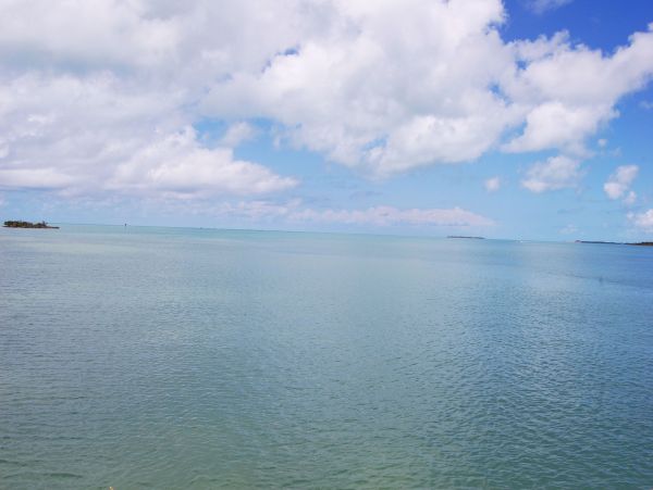 The Florida Keys Condo 980917