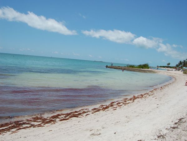 The Florida Keys Home 980919