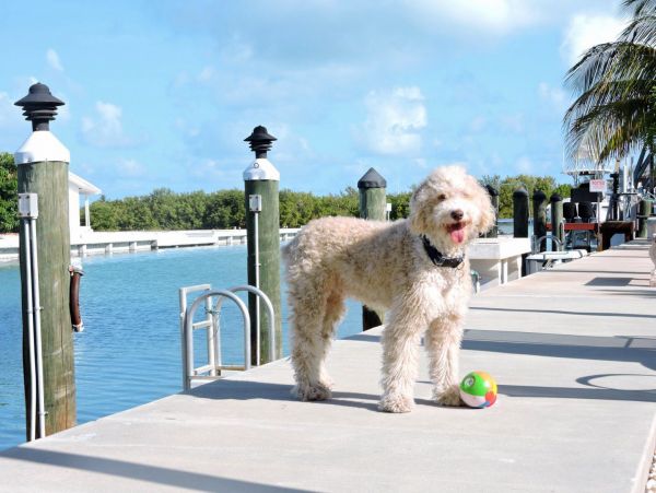 The Florida Keys Home 980920