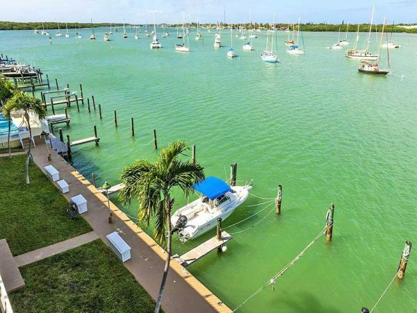 The Florida Keys Condo 980921