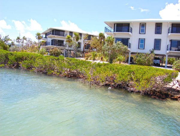 The Florida Keys Condo 980923