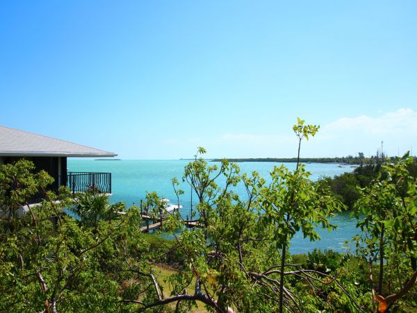 The Florida Keys Condo 980923