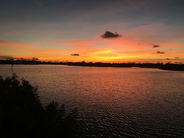 The Florida Keys Condo 980926