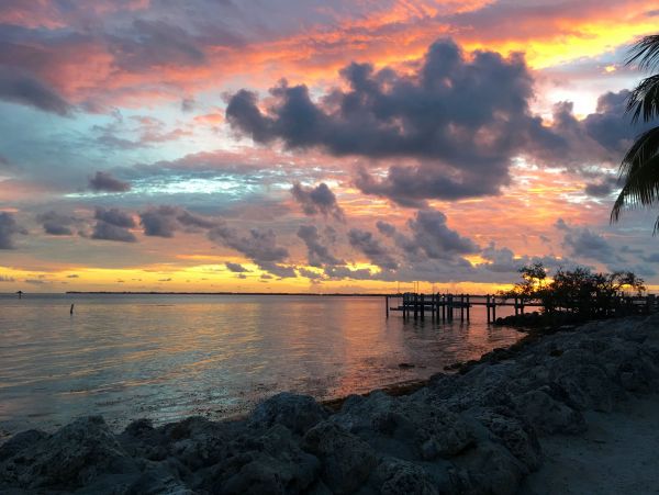 The Florida Keys Condo 980926