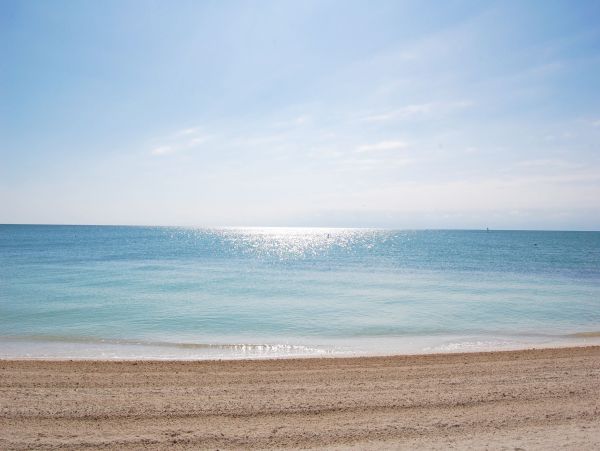 The Florida Keys Condo 980926