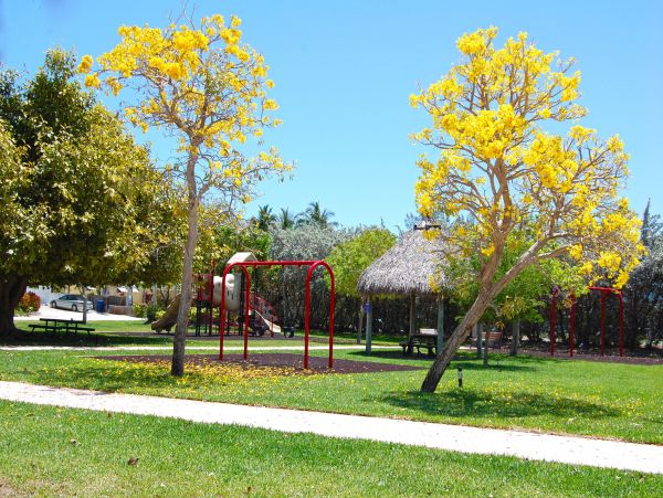 The Florida Keys Condo 980926