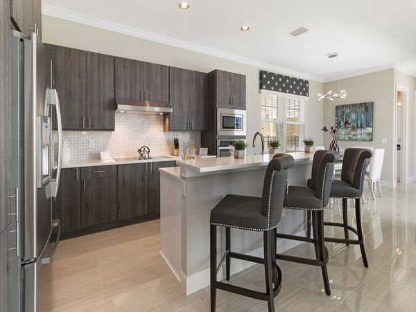 Orlando Home 980989