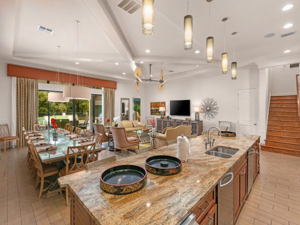 Orlando Home 981004
