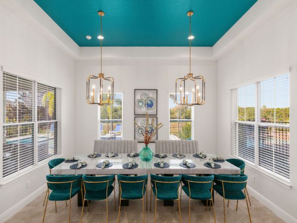 Orlando Home 981006
