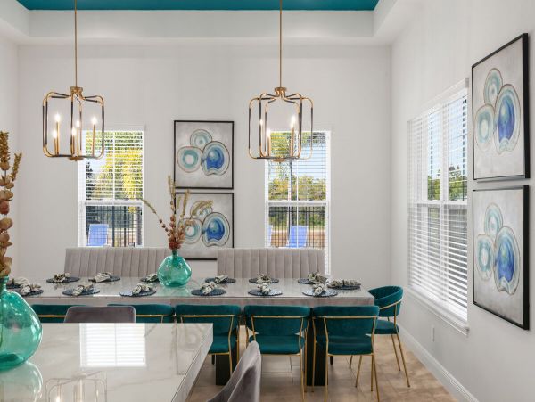 Orlando Home 981006