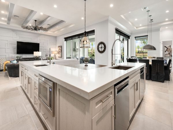 Orlando Home 981034