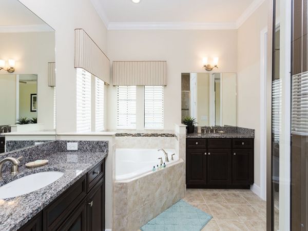 Orlando Home 981046