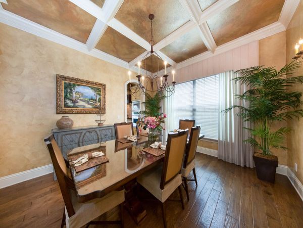 Orlando Home 981059