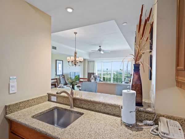 Orlando Condo 981064
