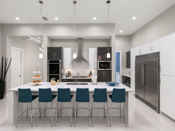 Orlando Home 981093