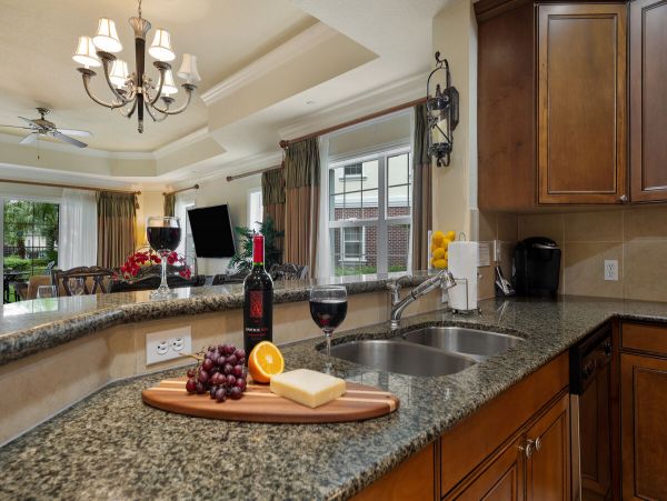 Orlando Condo 981116