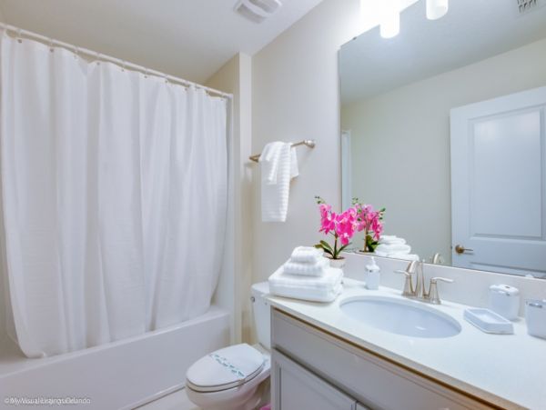 Orlando Home 981143