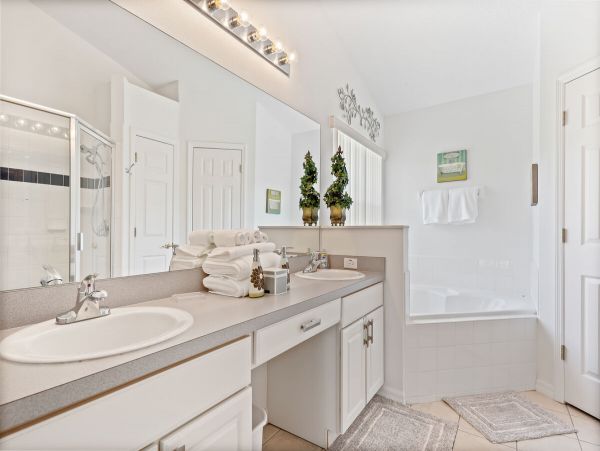 Orlando Home 981153