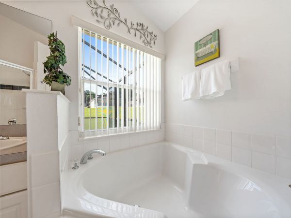 Orlando Home 981153