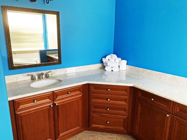Orlando Home 981159
