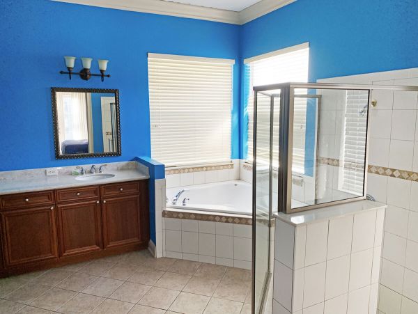 Orlando Home 981159