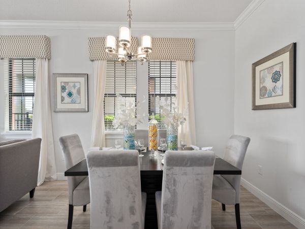 Orlando Home 981160